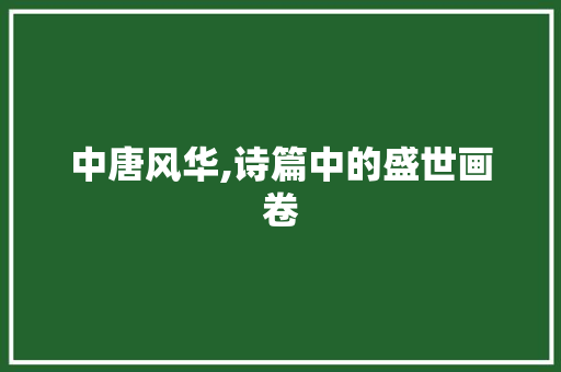中唐风华,诗篇中的盛世画卷