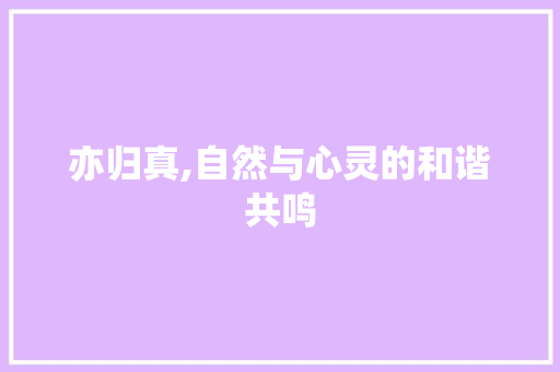亦归真,自然与心灵的和谐共鸣