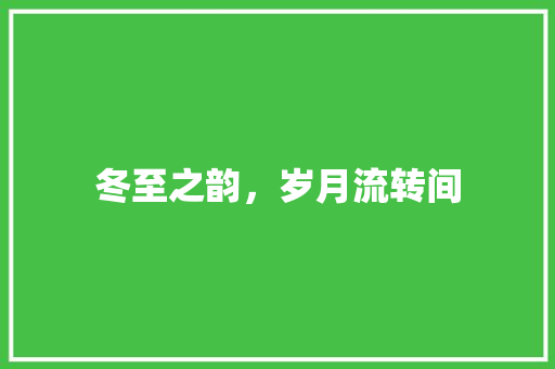 冬至之韵，岁月流转间
