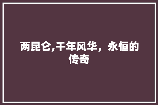 两昆仑,千年风华，永恒的传奇