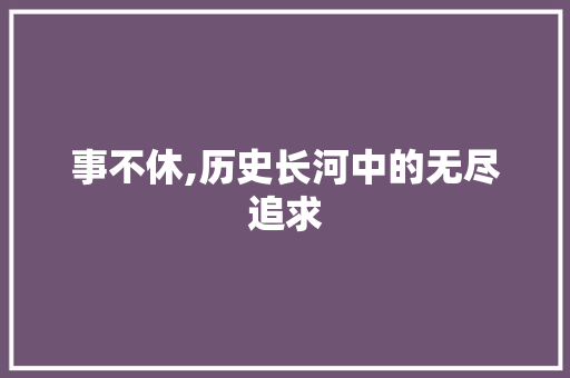 事不休,历史长河中的无尽追求