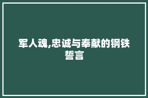 军人魂,忠诚与奉献的钢铁誓言