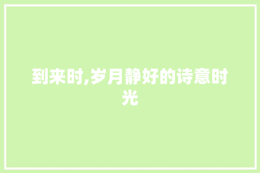 到来时,岁月静好的诗意时光