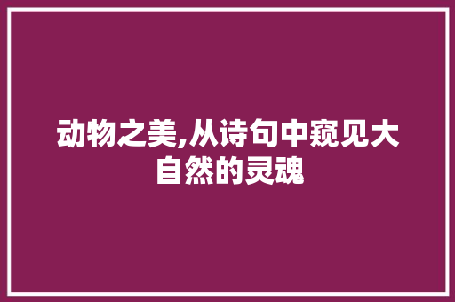 动物之美,从诗句中窥见大自然的灵魂