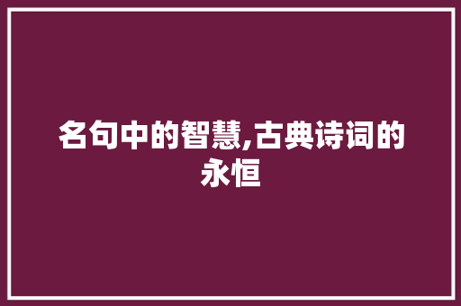 名句中的智慧,古典诗词的永恒