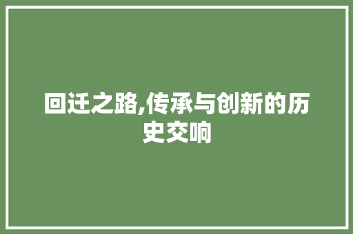 回迁之路,传承与创新的历史交响