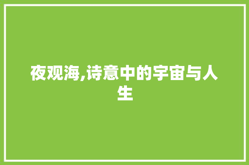 夜观海,诗意中的宇宙与人生