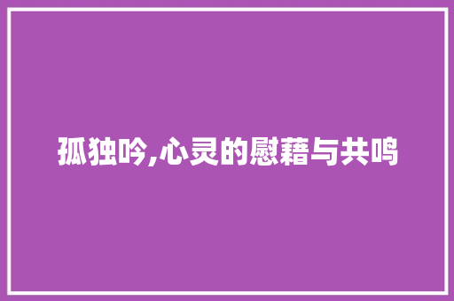 孤独吟,心灵的慰藉与共鸣