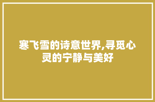 寒飞雪的诗意世界,寻觅心灵的宁静与美好