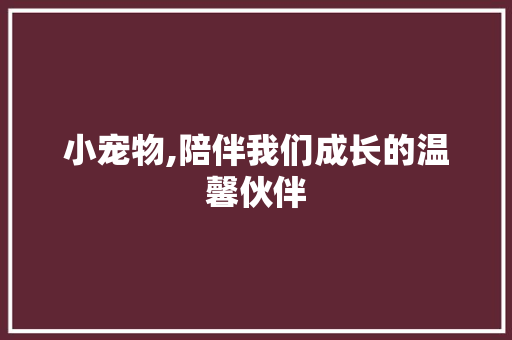 小宠物,陪伴我们成长的温馨伙伴