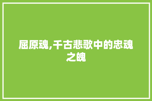 屈原魂,千古悲歌中的忠魂之魄