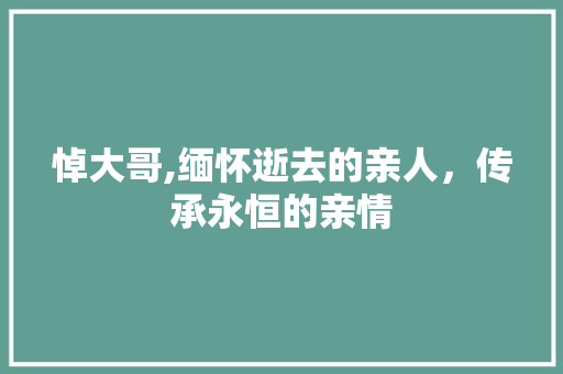 悼大哥,缅怀逝去的亲人，传承永恒的亲情