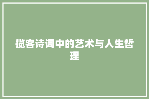 揽客诗词中的艺术与人生哲理