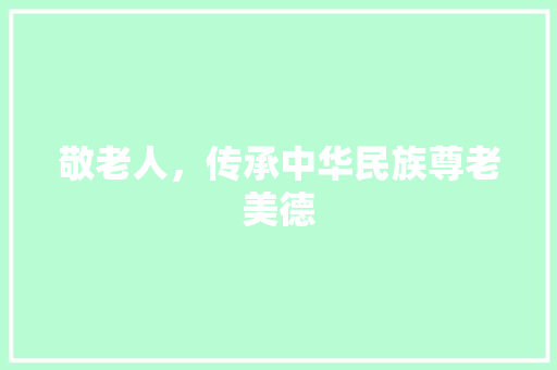 敬老人，传承中华民族尊老美德