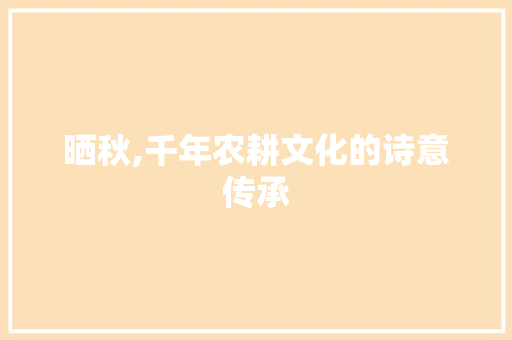 晒秋,千年农耕文化的诗意传承