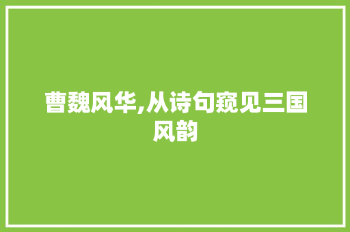 曹魏风华,从诗句窥见三国风韵