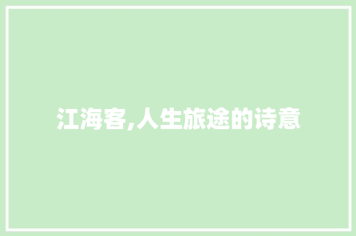 江海客,人生旅途的诗意