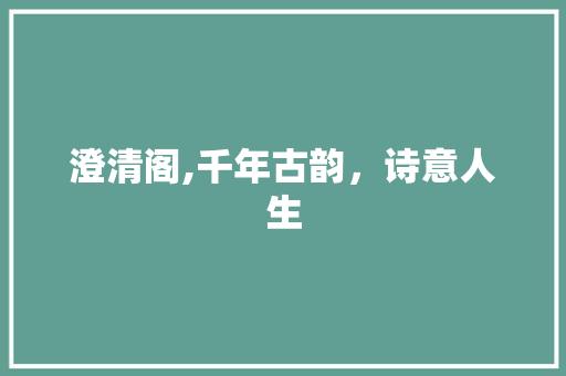 澄清阁,千年古韵，诗意人生