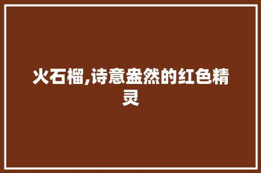 火石榴,诗意盎然的红色精灵