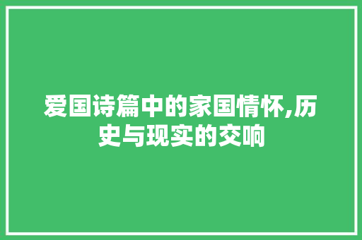 爱国诗篇中的家国情怀,历史与现实的交响