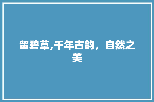 留碧草,千年古韵，自然之美