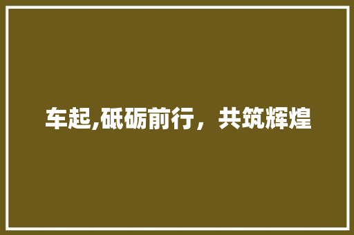 车起,砥砺前行，共筑辉煌