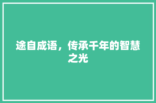 途自成语，传承千年的智慧之光