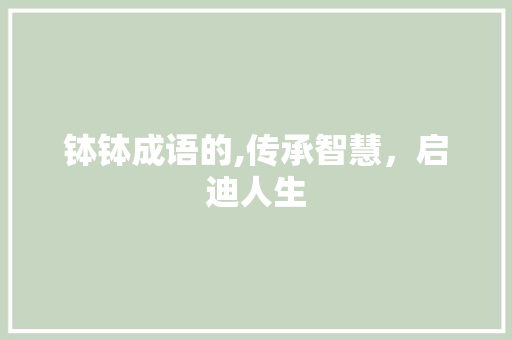钵钵成语的,传承智慧，启迪人生