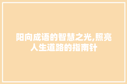 阳向成语的智慧之光,照亮人生道路的指南针 成语大全