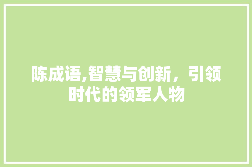 陈成语,智慧与创新，引领时代的领军人物