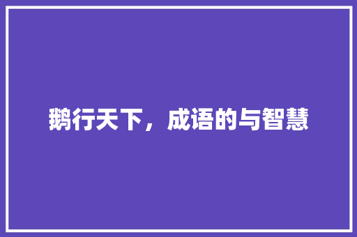 鹅行天下，成语的与智慧