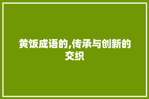黄饭成语的,传承与创新的交织