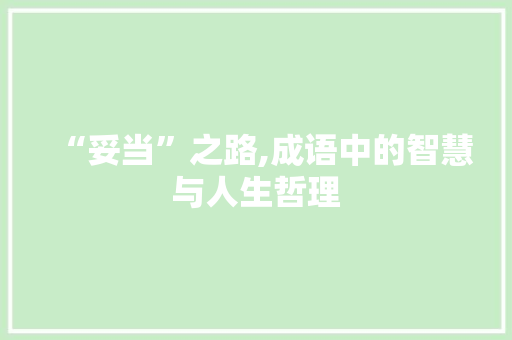 “妥当”之路,成语中的智慧与人生哲理 工作总结