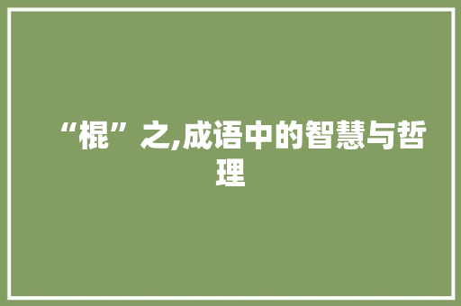“棍”之,成语中的智慧与哲理