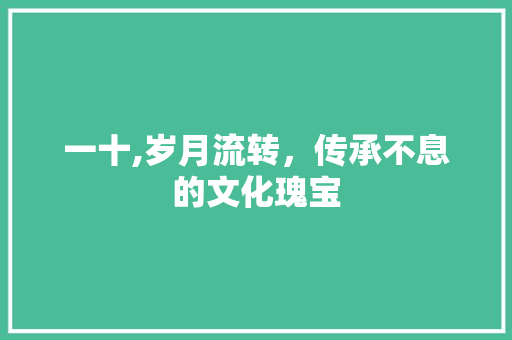 一十,岁月流转，传承不息的文化瑰宝 国学经典