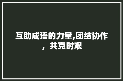 互助成语的力量,团结协作，共克时艰