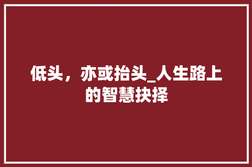 低头，亦或抬头_人生路上的智慧抉择