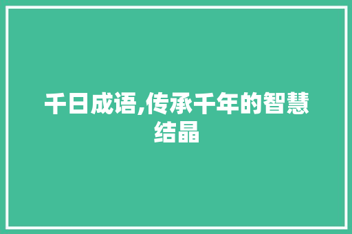 千日成语,传承千年的智慧结晶