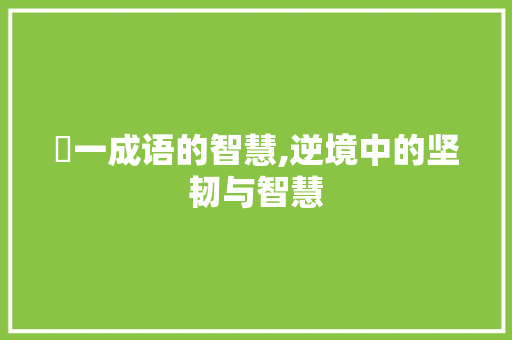 墕一成语的智慧,逆境中的坚韧与智慧