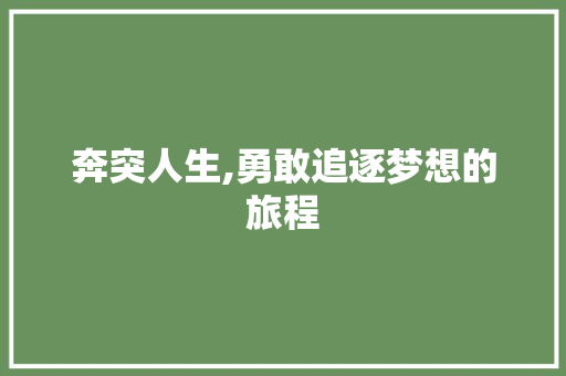 奔突人生,勇敢追逐梦想的旅程
