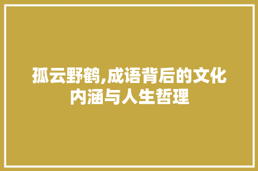 孤云野鹤,成语背后的文化内涵与人生哲理