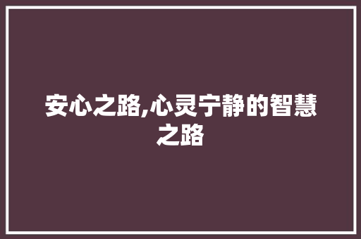 安心之路,心灵宁静的智慧之路 工作总结