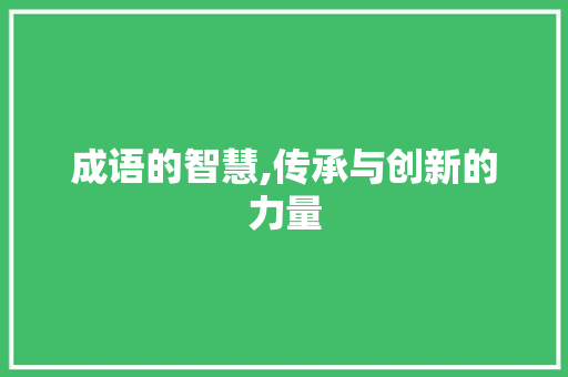 成语的智慧,传承与创新的力量