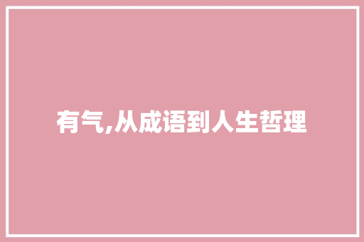 有气,从成语到人生哲理