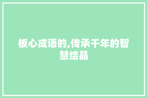 板心成语的,传承千年的智慧结晶
