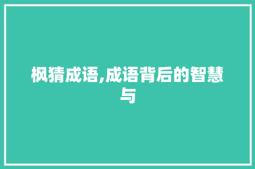 枫猜成语,成语背后的智慧与