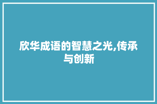 欣华成语的智慧之光,传承与创新