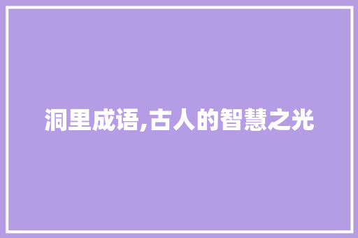 洞里成语,古人的智慧之光
