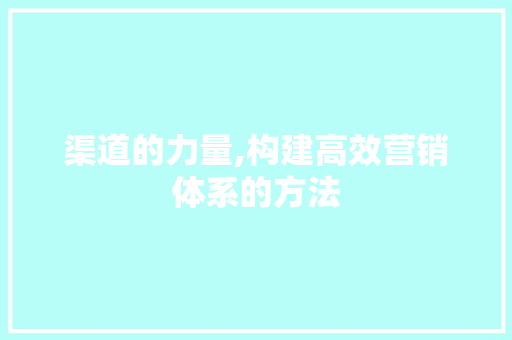 渠道的力量,构建高效营销体系的方法