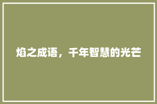 焰之成语，千年智慧的光芒